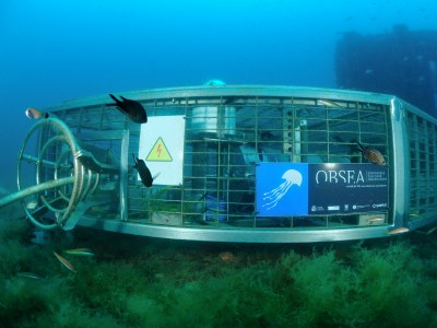 OBSEA, el observatorio submarino cableado